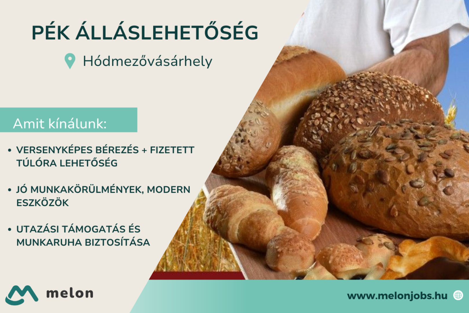 Flamand Pékáru Kft.